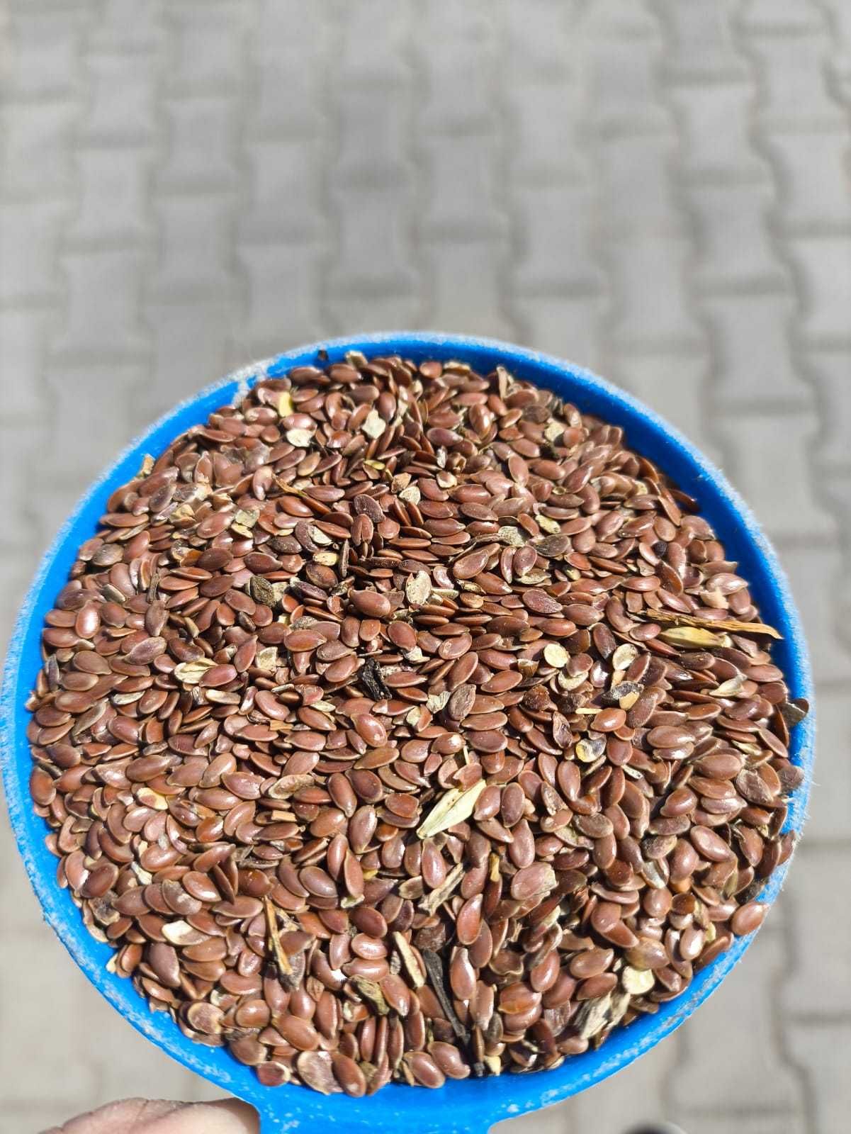 SIEMIE LNIANE LEN siemię nasiona paszowe bydło koń 1kg