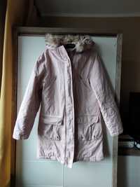 Parka Dorothy Perkins L