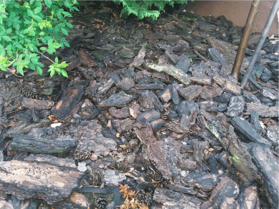 Kora z drzewa na podsypkę do kwiatów i krzewów