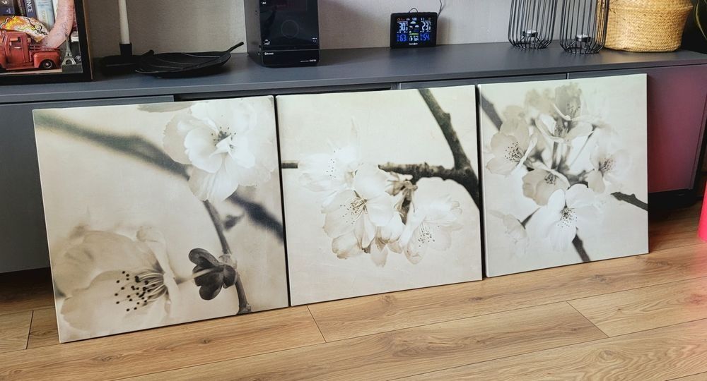 Ikea Tryptyk Obraz Kwiaty Flora Maia 3 szt 56x56cm