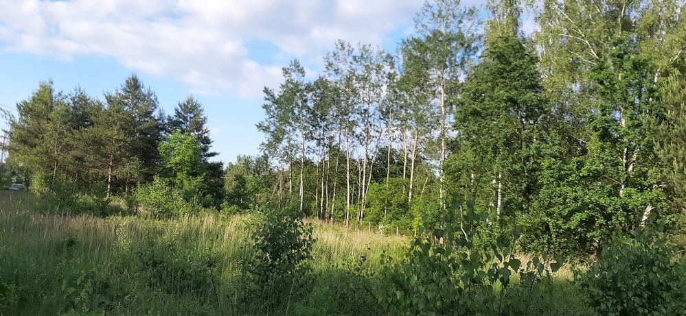 Działka 2000 m2 Głosków