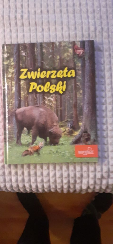 Książka "Zwierzęta Polski"