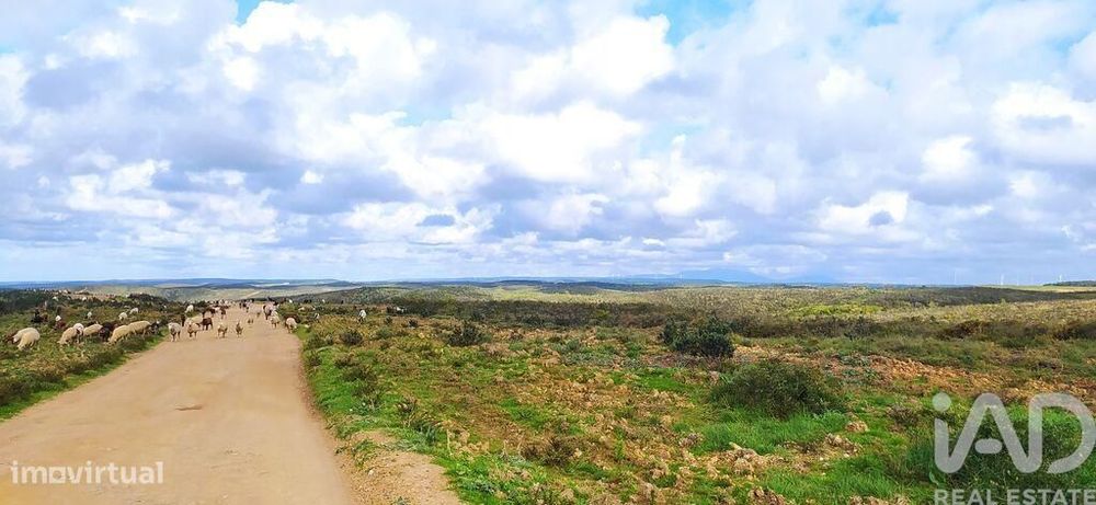 Terreno T1 em Vila do Bispo e Raposeira de 715460,00 m2