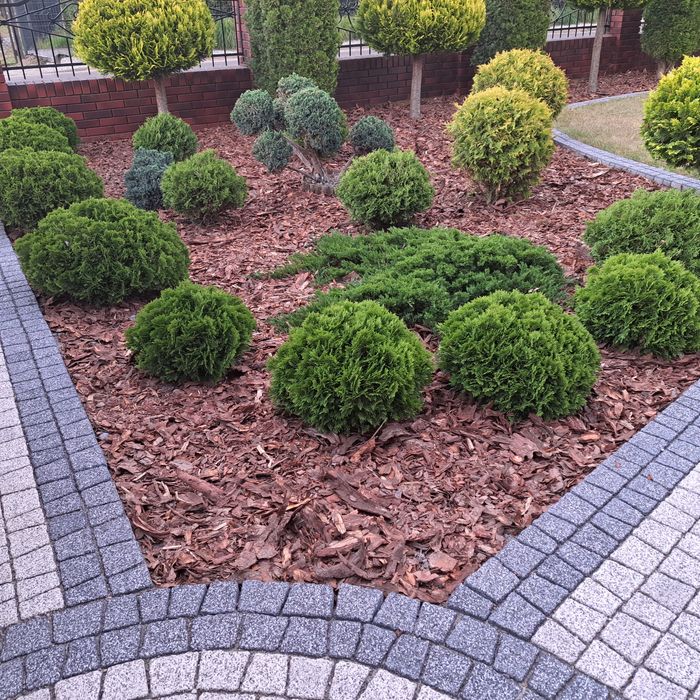 Kora sosnowa worek 14zł - TRANSPORT