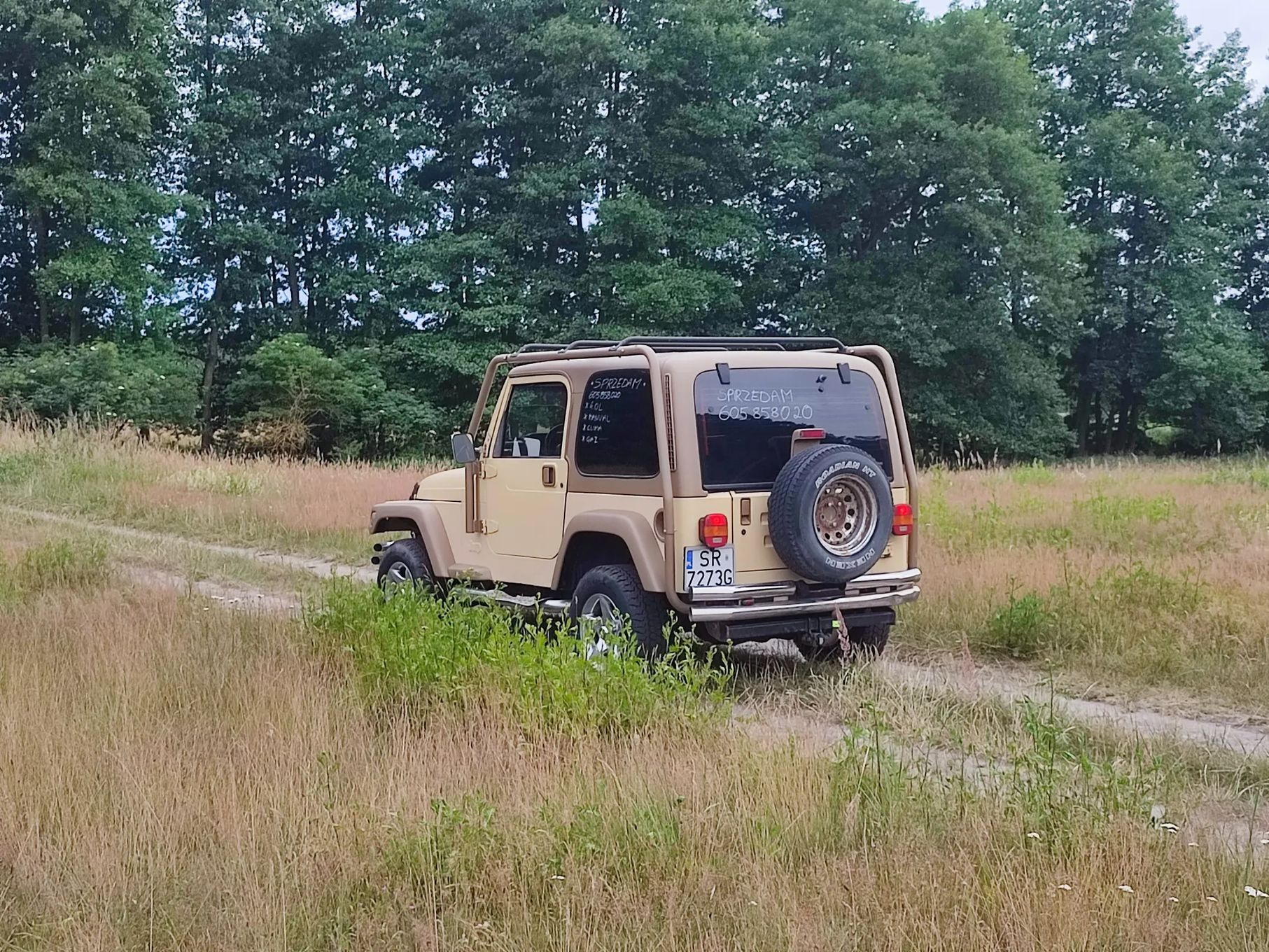 Jeep Wrangler 4.0 LPG manualna skrzynia biegów KLIMATYZACJA hard top ABS
