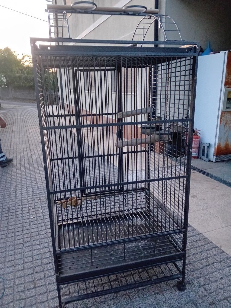 Gaiola como nova