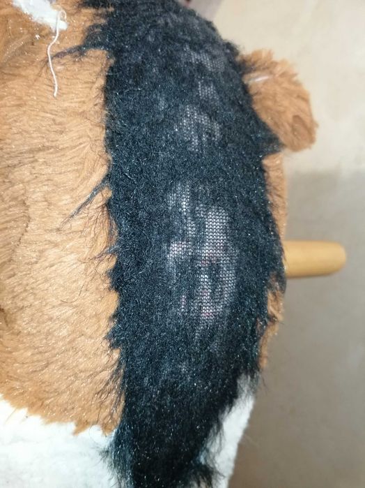 Koń na biegunach – stabilny, miękki, z ochroną podłogi