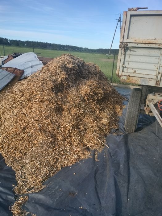Zrębka leśna wieksza ilość oraz drzewo opałowe brzoza