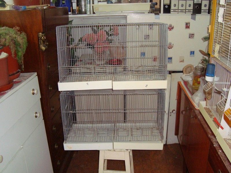 Viveiros médios duplos em bom estado.