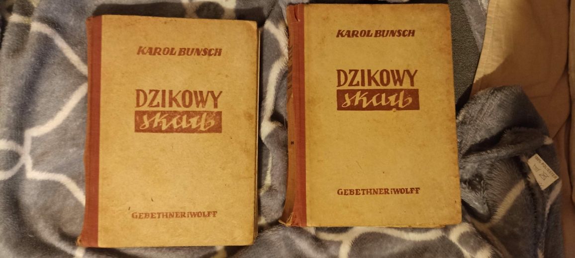 Dzikowy skarb Karol Bunsch tom  1 i 2 z cyklu Powieści Piastowskie