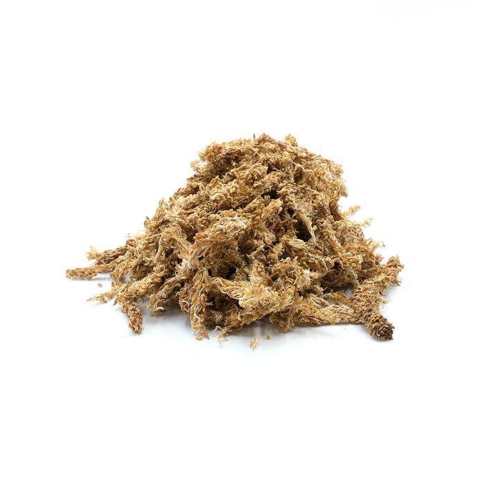 Biosphag Moss Chile Mech Torfowiec Sphagnum Chilijski 5Kg 250L