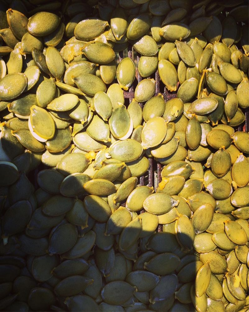 Голонасінне насіння гарбуза ціна за кг