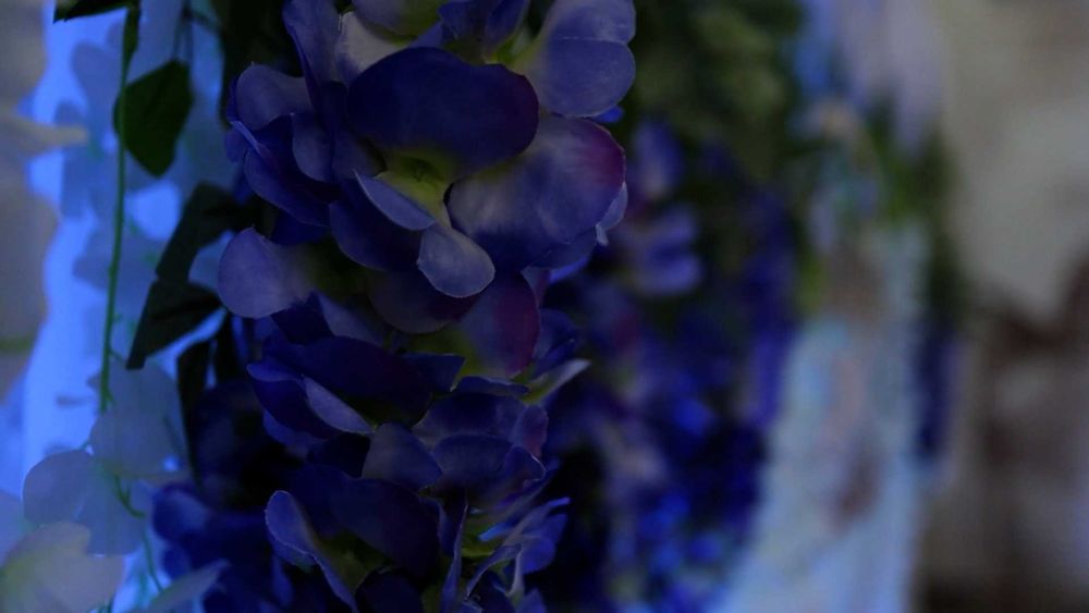 Wiszący kwiat wisteria/glicynia 6szt 100cm