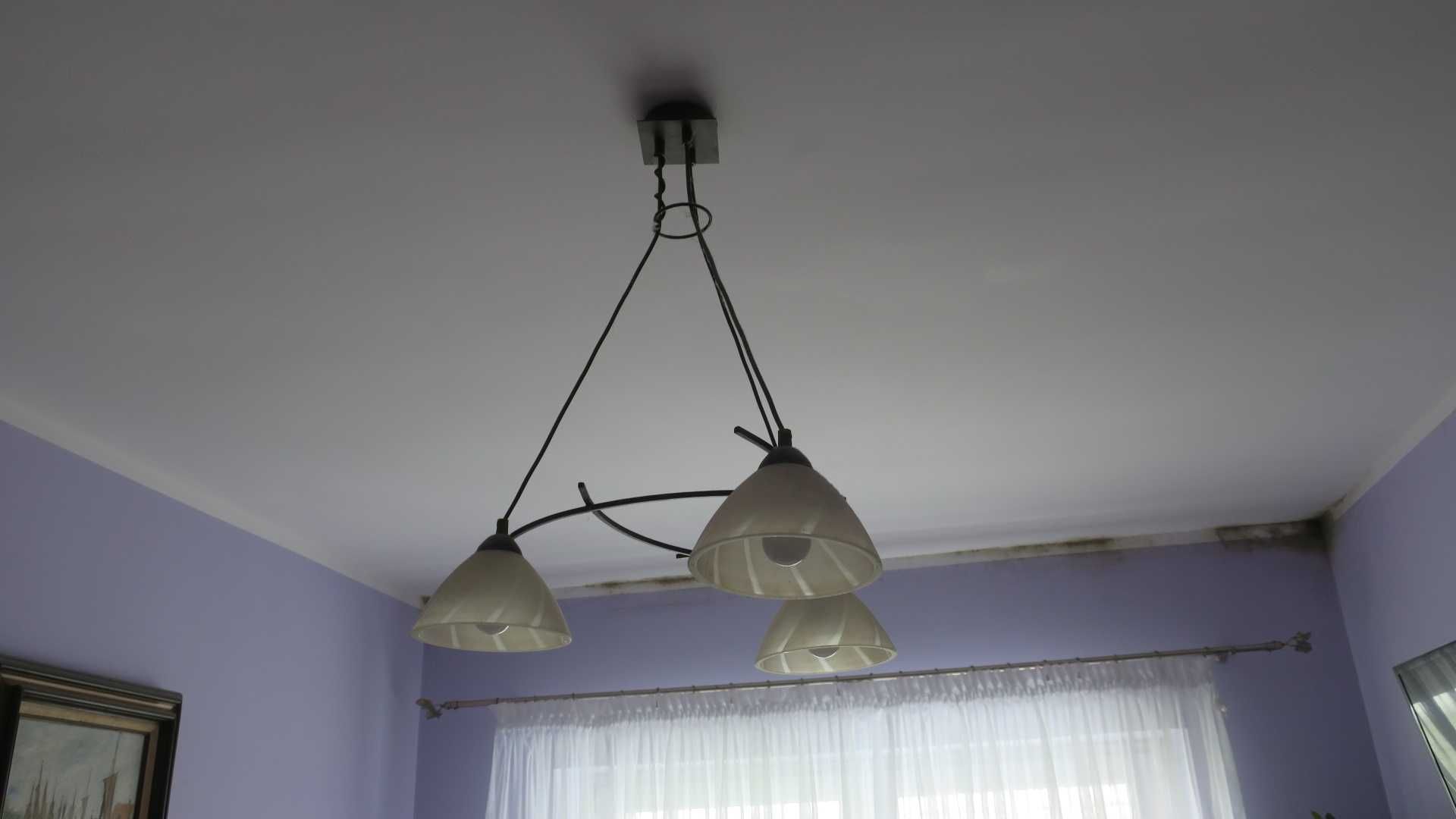 Żyrandol lapa wisząca