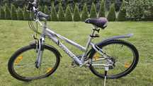 Rower Giant Rock 17"