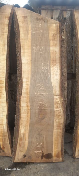 Слеб,сляб,дошка,горіх грецький