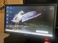 Monitor LG 19 cali