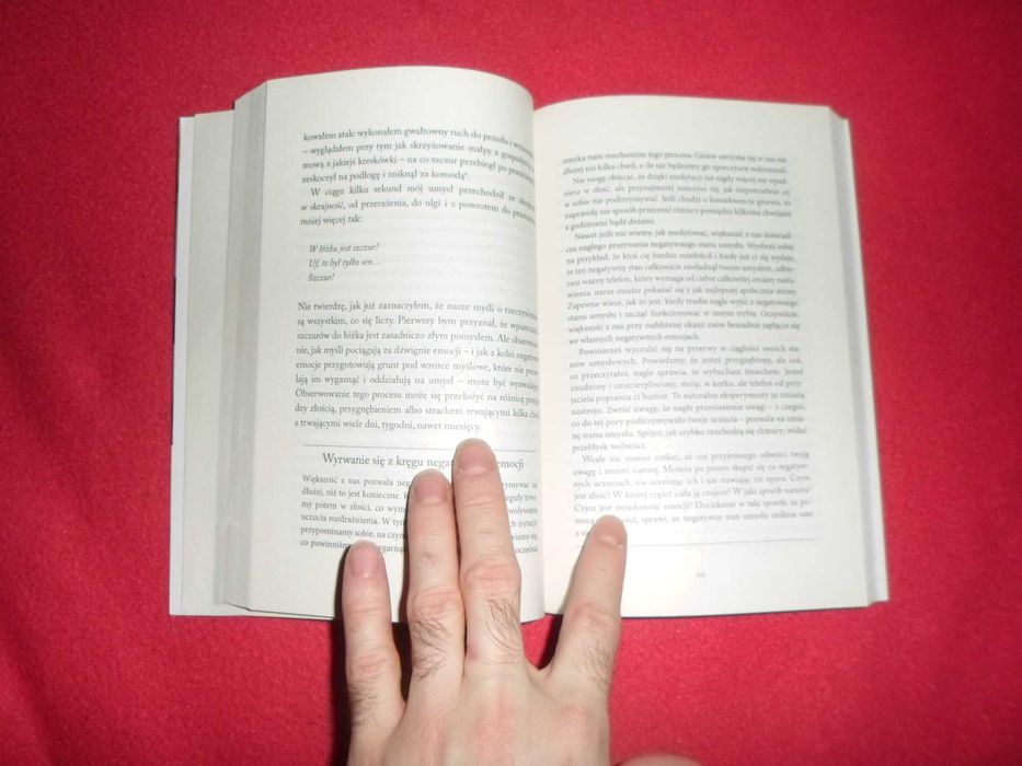 Sam Harris - Przebudzenie Duchowość bez religii