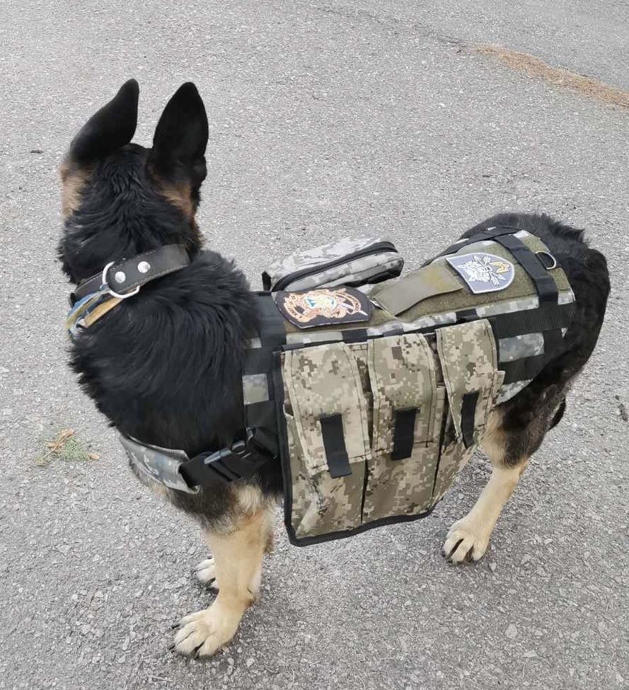 Жилетка розгрузка для собак - форма для військових собак