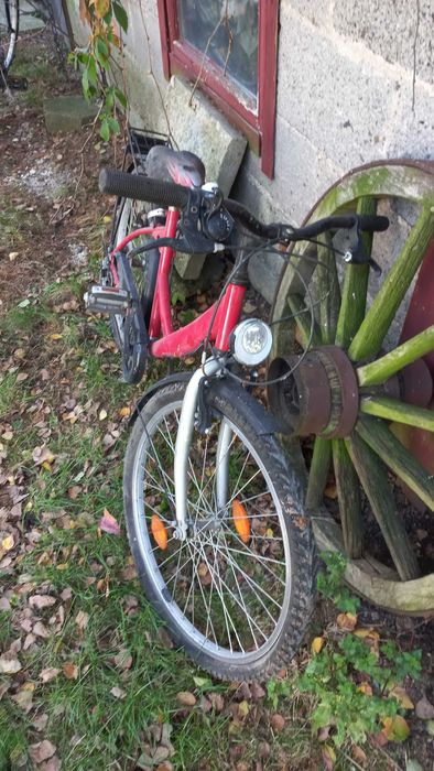 Rower Miejski i Mlodzierzowy