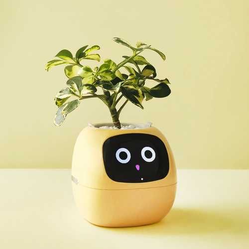 Умный цветочный горшок Ivy Smart Planter Tuya Новые!