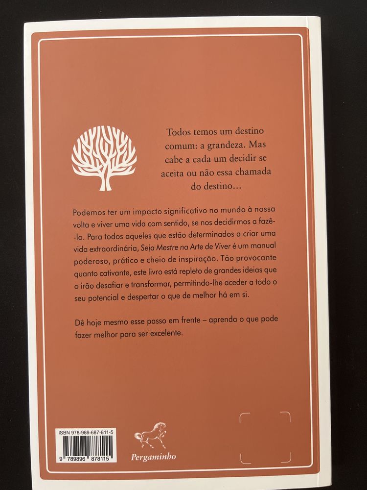Livro - Robin Sharma, Seja mestre na arte de viver