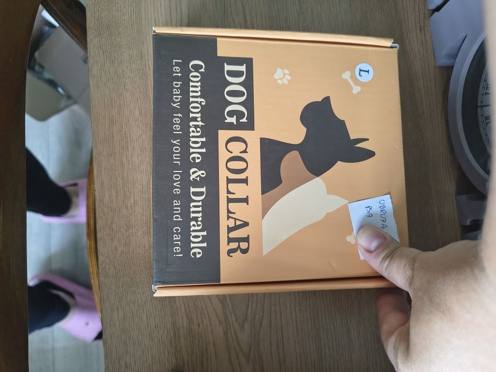 Nowa Obroża dla psa