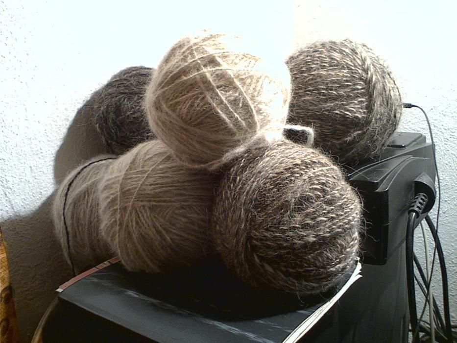 пряжа из собачьей шерсти