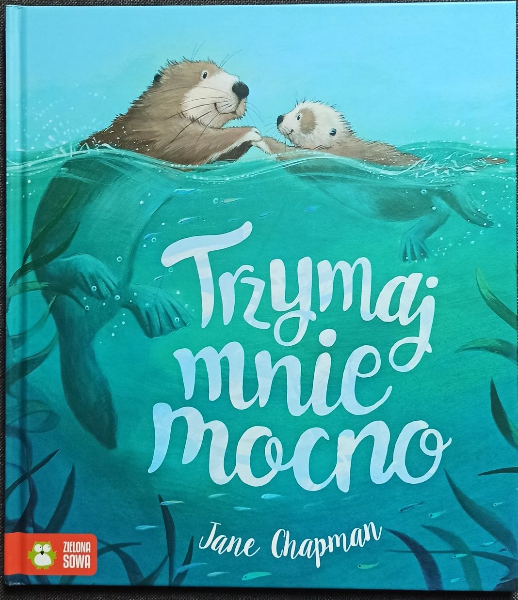 Trzymaj mnie mocno Jane Chapman
