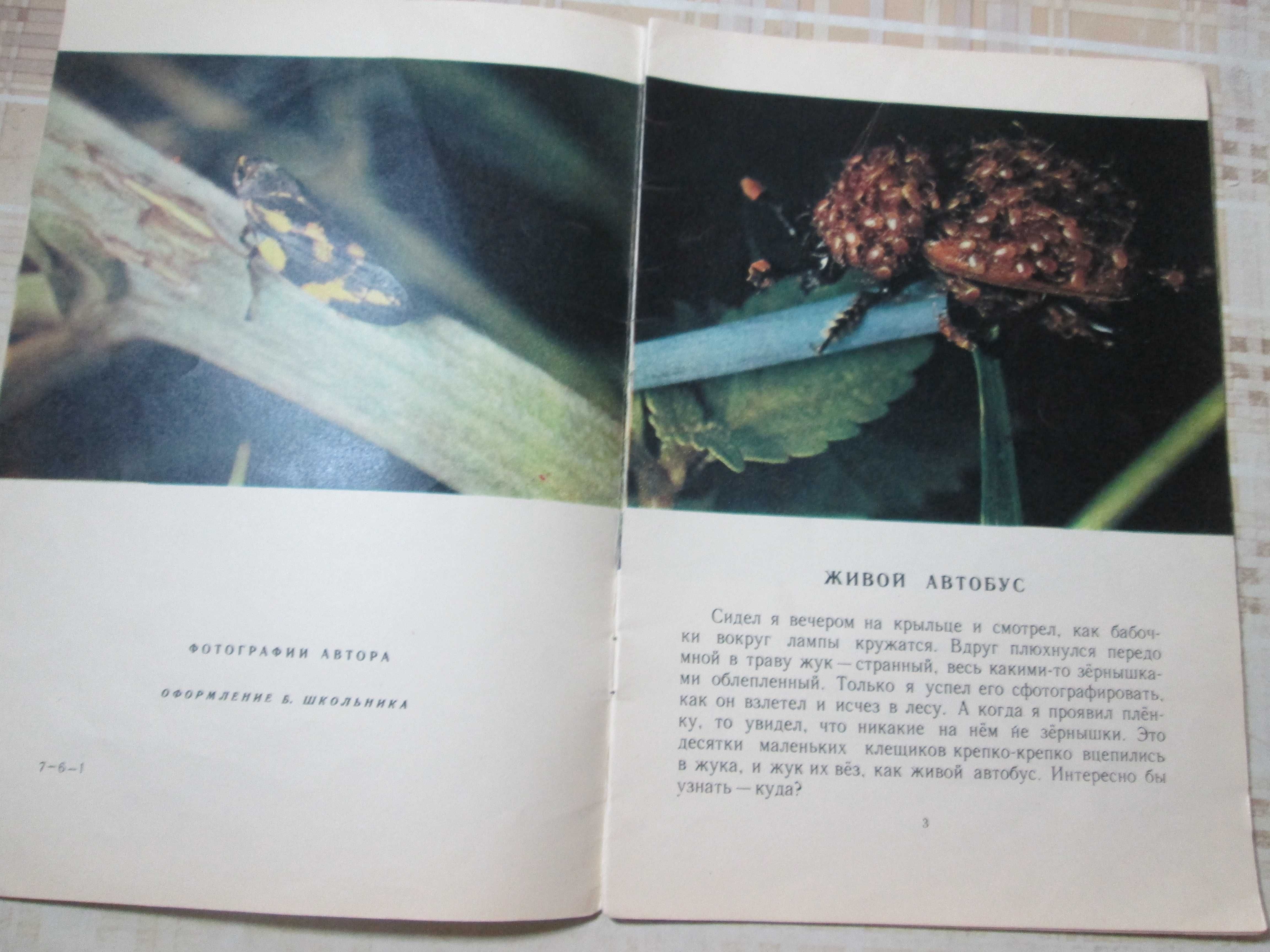 Книги Заповедник в степи В гостях у насекомых Як розвивалося життя
