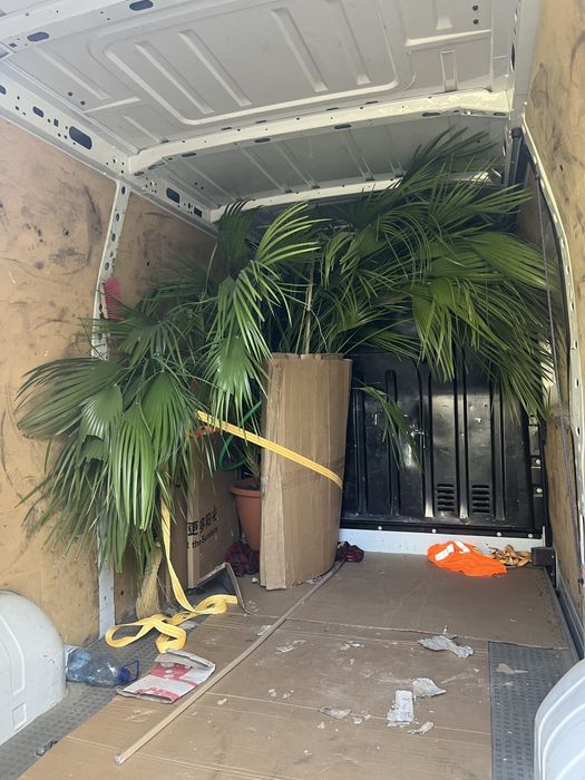 Вантажні перевезення, грузоперевозки, вантажне таксі, бус