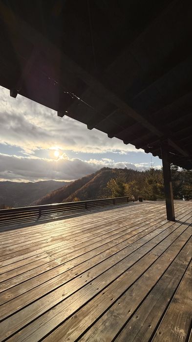 Оренда будинку Карпати  до 10 осіб село Великий Рожін Косівський район