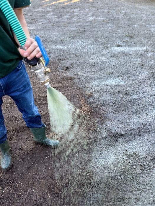 Hydrosiew – gęsty, trwały trawnik premium, lepszy i tańszy niż z rolki
