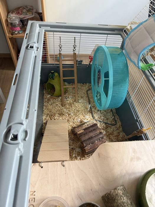 Klatka akcesoria i jedzonko dla chomika syryjskiego