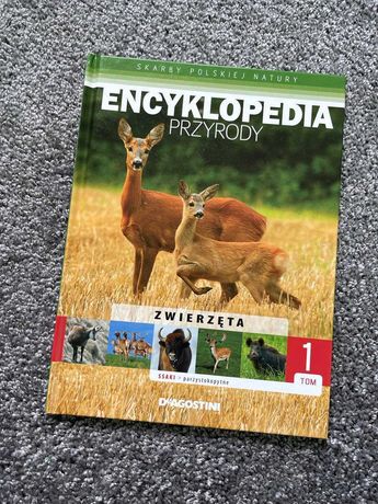 Skarby Polskiej Natury - Encyklopedia przyrody (Ssaki parzystokopytne)