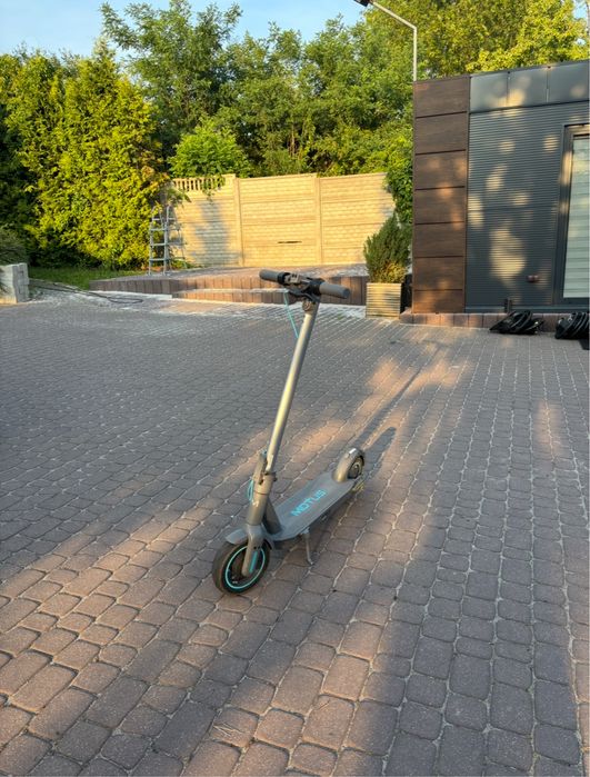 Hulajnoga elektryczna Motus scooty 10 350 W
