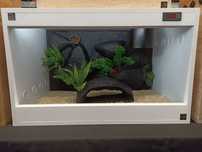 GOTOWE białe terrarium z ogrzewaniem i LED, tło strukturalne, 80x50x50