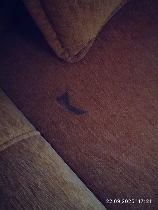Sofa rozkładana ze skrzynią