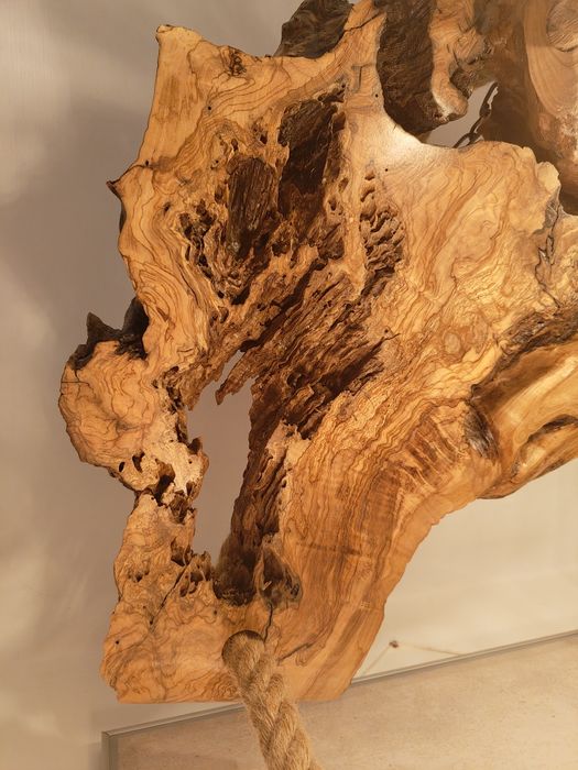 Lampa wisząca z korzenia drzewa oliwnego sznur jutowy Unikat Handmade