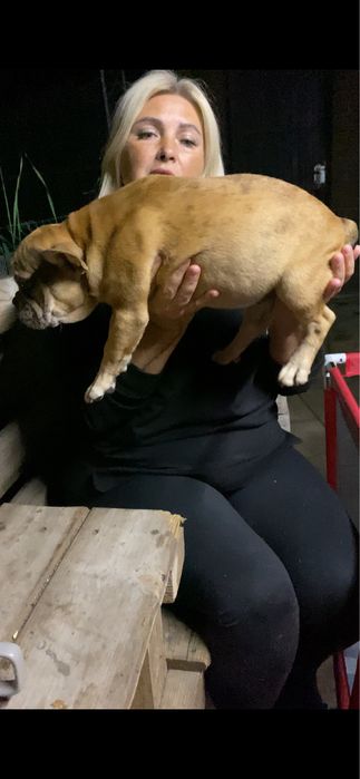 Дівчинка французька булочка