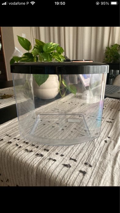 Aquario Bettacub Aquatlantis
