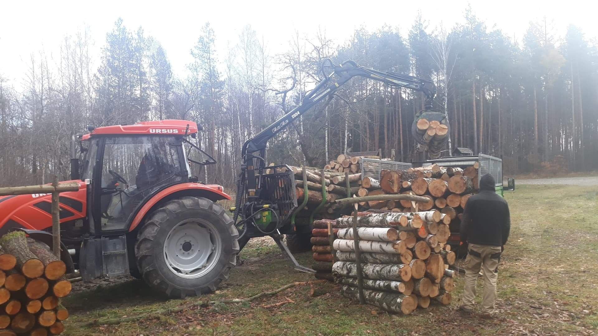 Drewno opałowe kominkowe drzewo, Kolbuszowa Mielec Sokołów Sedziszów