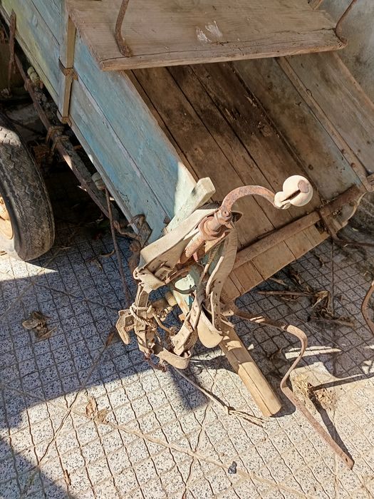 Carroça com antiguidade.