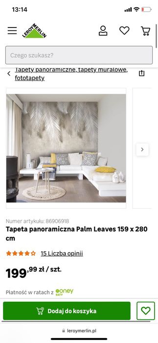 Tapeta panoramiczna Palm Leaves 159 x 280 cm