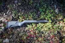 Pressão de ar Gamo Shadows 640