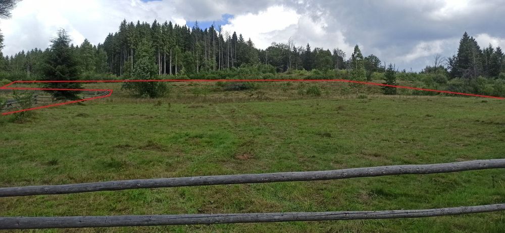 Продам землю у Вишкові! Ідеально для будівництва котеджів або готелю