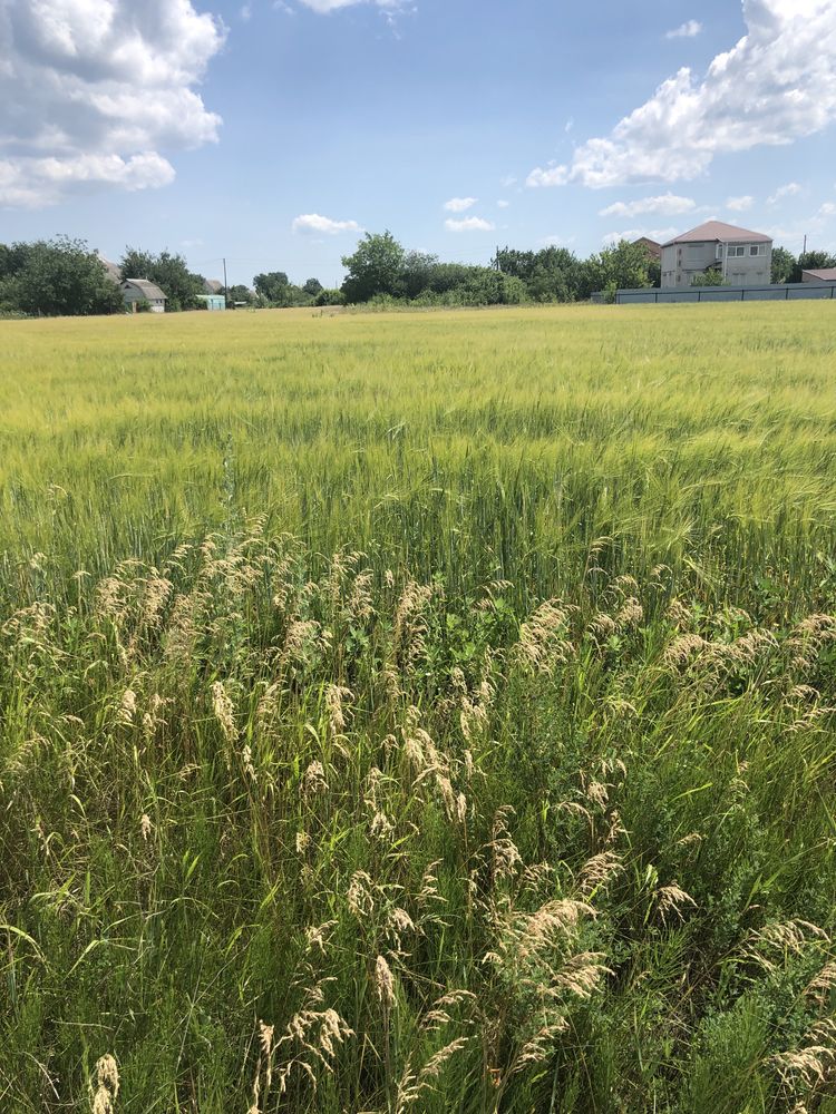 Ділянка під забудову село Рогозів