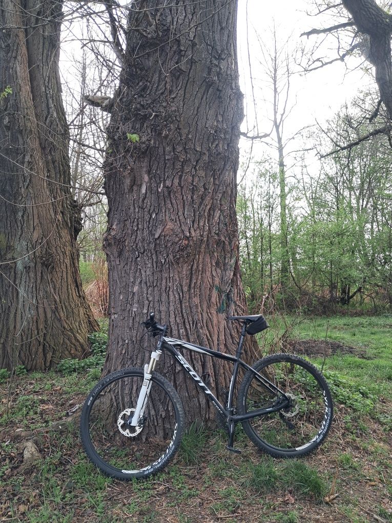 Scott Scale 960 XT, zadbany