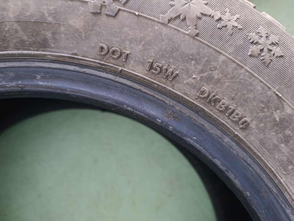 Opony zimowe Winter Pro 2 195/65R15