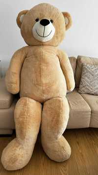 Urso Peluche Gigante